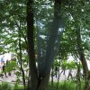 IMG_7361